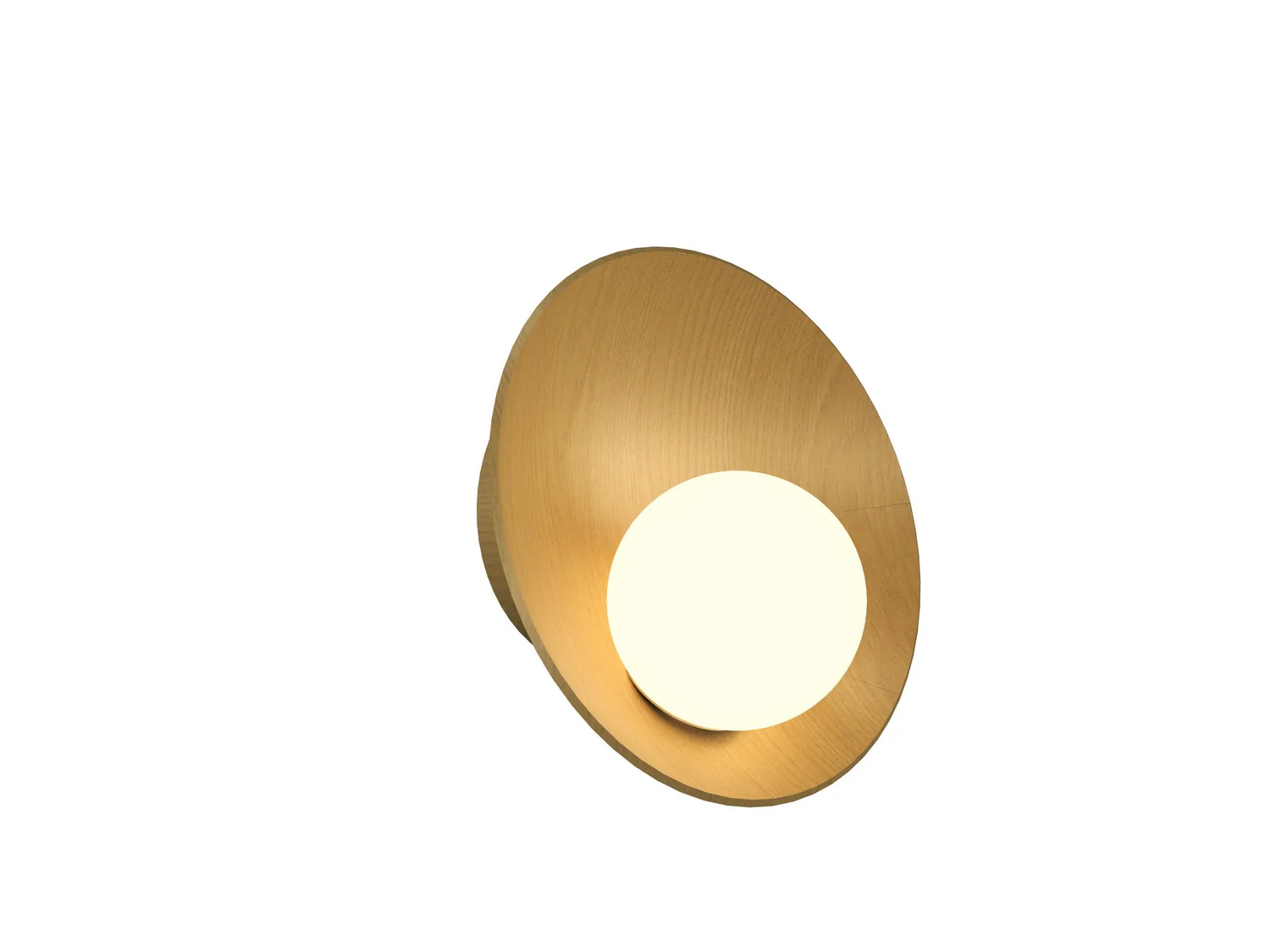 Oyster Wall Sconce - Image 9
