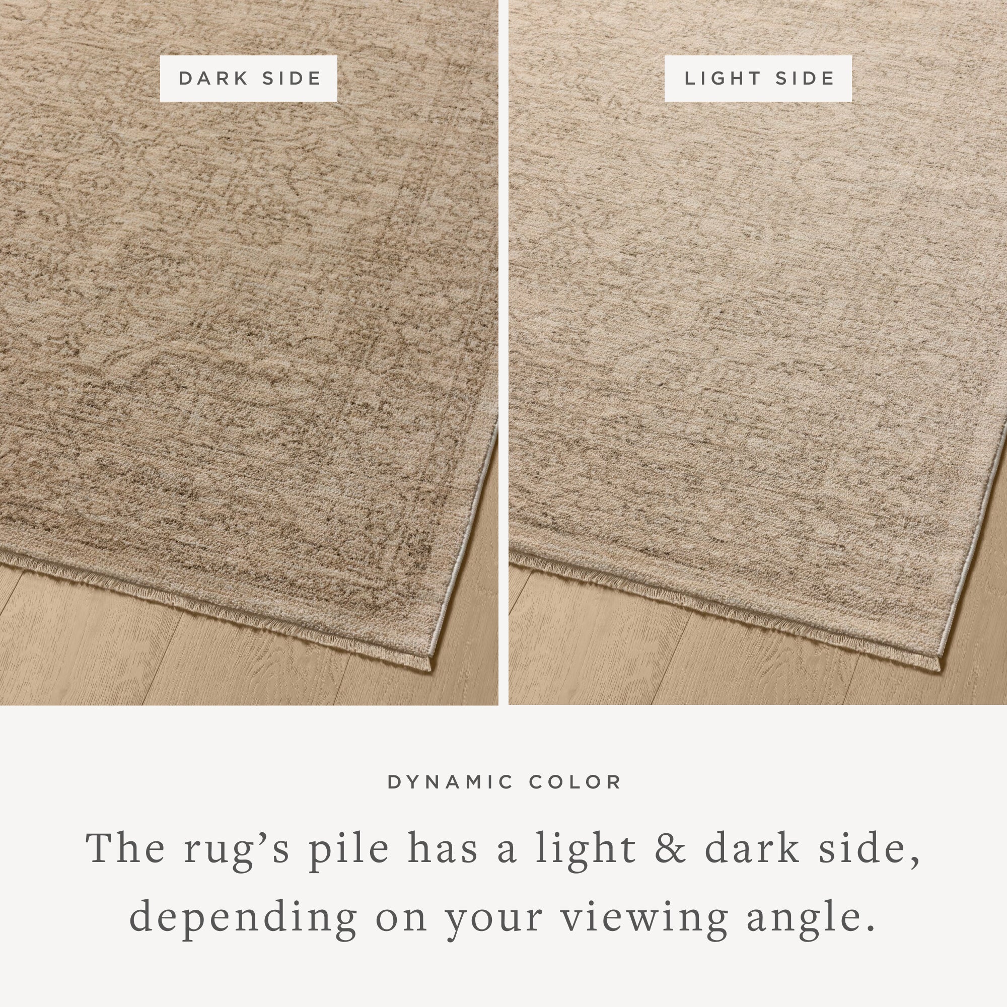 Newman Taupe / Bone Rug (NEW-01) - Image 3