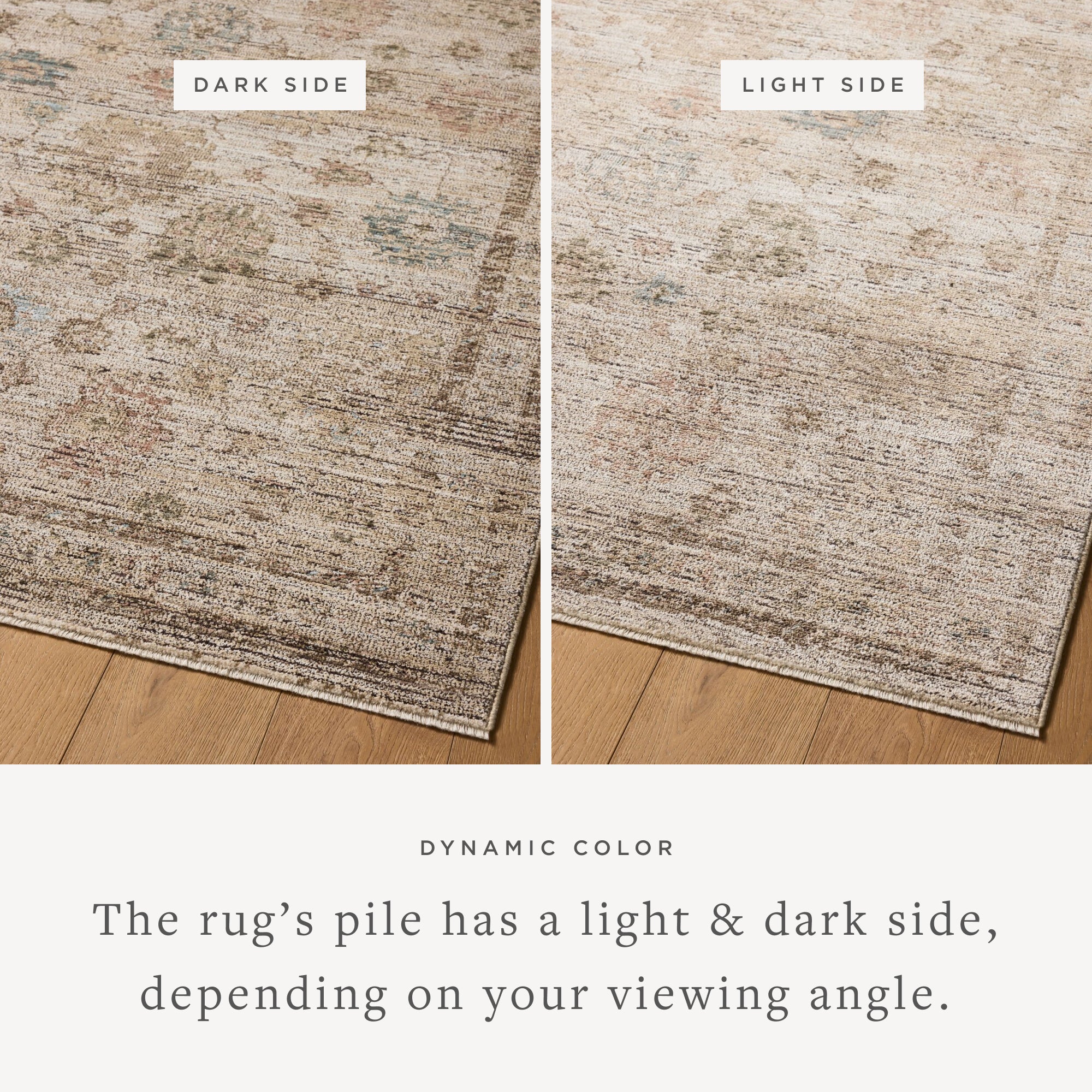 Priscilla Ivory / Multi Rug (PRL-06) - Image 4
