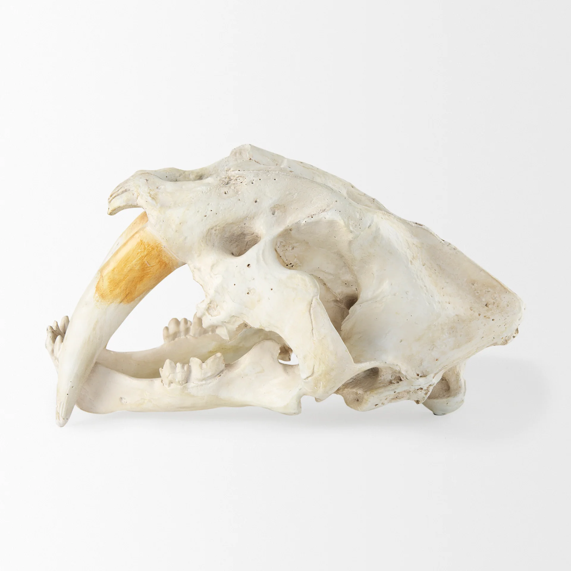 Fozzil Object - Image 6