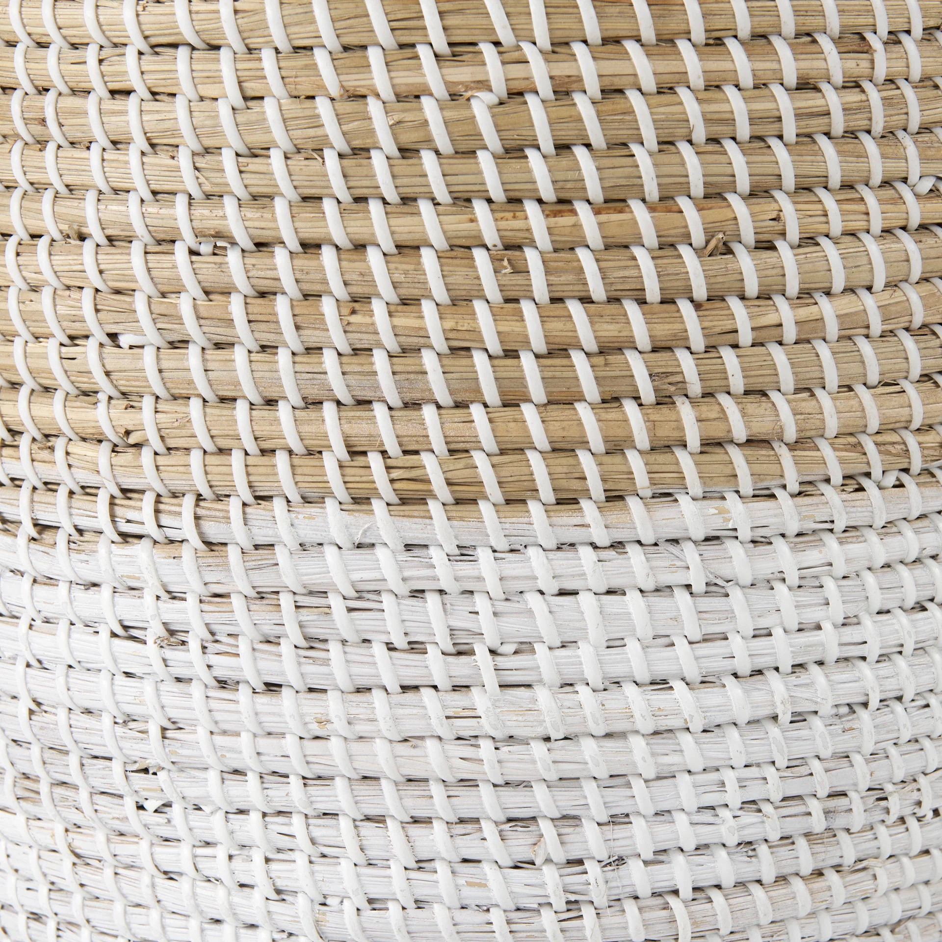 Maddie Basket - Image 8
